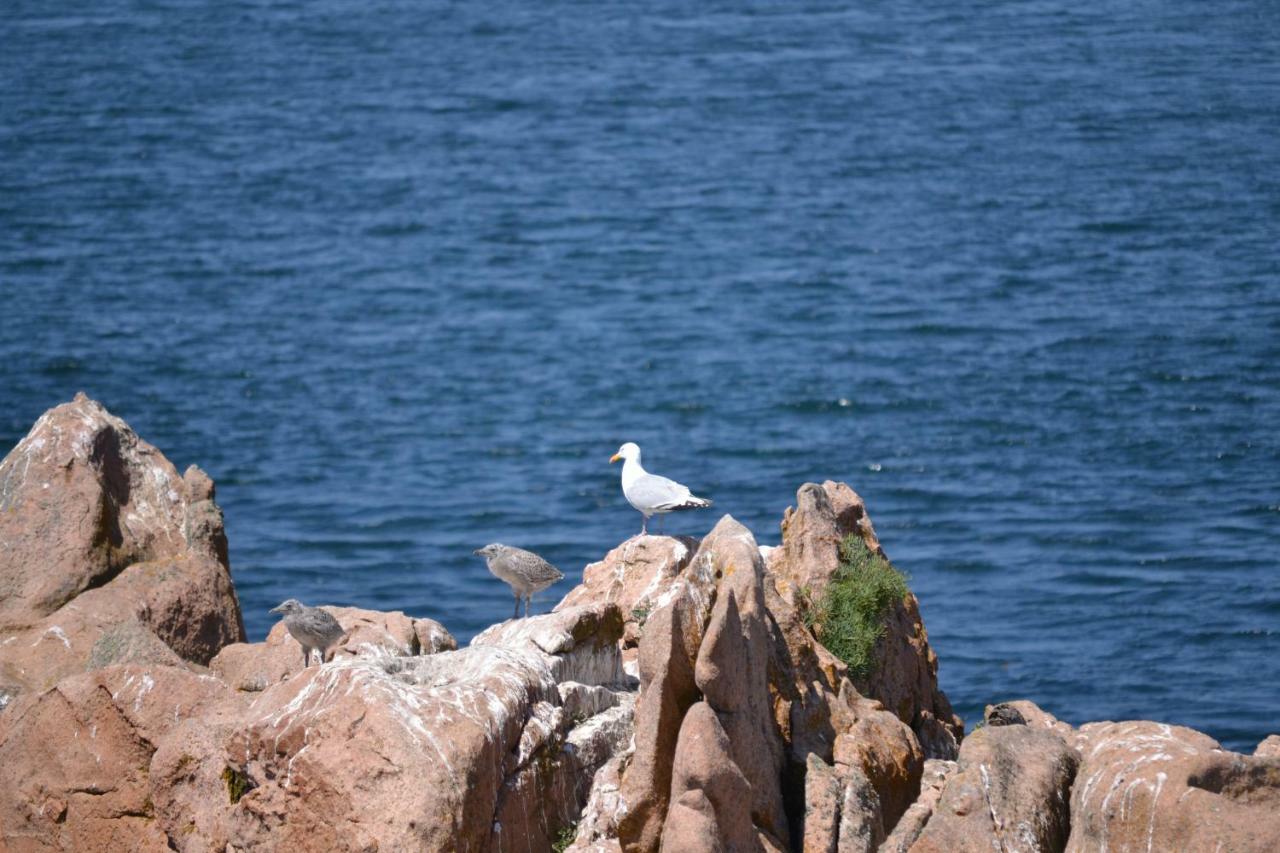 Gite Du Port Sur La Presqu'Ile De Lézardrieux Exterior foto